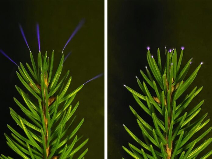 af1e8e72-49be-4c99-96a8-94cc90a0d73c