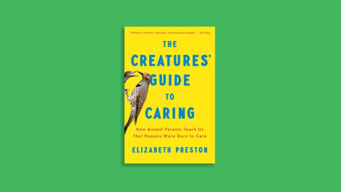 c497ad54-db46-411e-b5ef-a61740ff008b