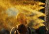 Ventilateurs : Cool Relief ou Chauffage silencieux ?
