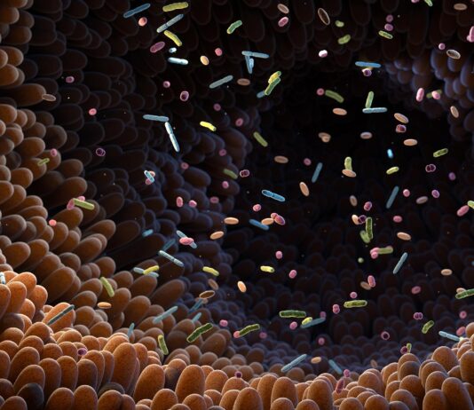 Perché la miscelazione di isosteviolo e duloxetina distrugge la salute dell’intestino: un nuovo studio rivela interazioni pericolose tra dolcificante e farmaci