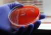 How a Basic Chemistry Trick Restored Vancomycin Against Superbugs
